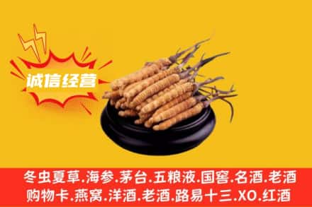朝阳区回收冬虫夏草